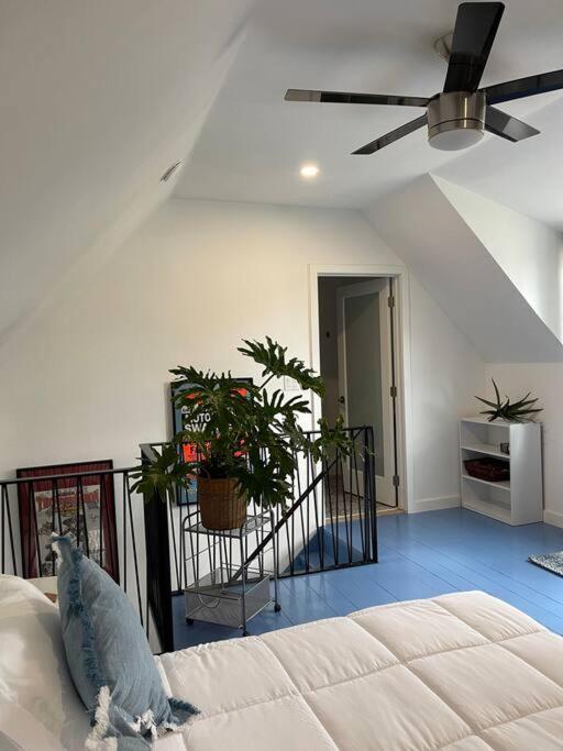 The Paddock House At Blanco Texas Villa Bagian luar foto