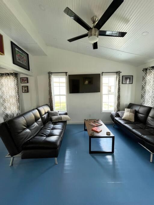 The Paddock House At Blanco Texas Villa Bagian luar foto