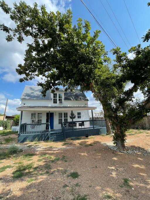 The Paddock House At Blanco Texas Villa Bagian luar foto