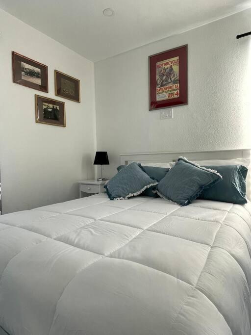 The Paddock House At Blanco Texas Villa Bagian luar foto